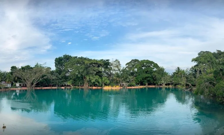 Danau Linting: Pesona Danau Hijau Penuh Misteri di Deli Serdang