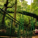 Hutan Kota Babakan Siliwangi