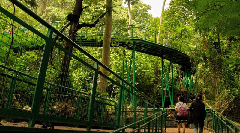 Hutan Kota Babakan Siliwangi