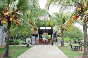 boekit gandus palembang