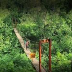 Taman Hutan Raya Ir. H. Djuanda