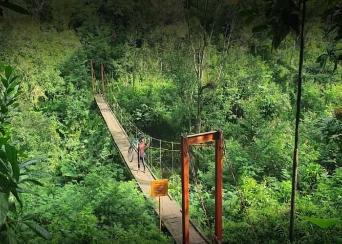 Taman Hutan Raya Ir. H. Djuanda