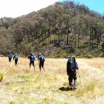 Puncak Argopuro Lasem, Rembang